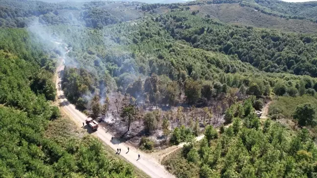 Sakarya'da Fındık Filizlerinin Yakılması Sonucu Çıkan Yangın Kontrol Altına Alındı