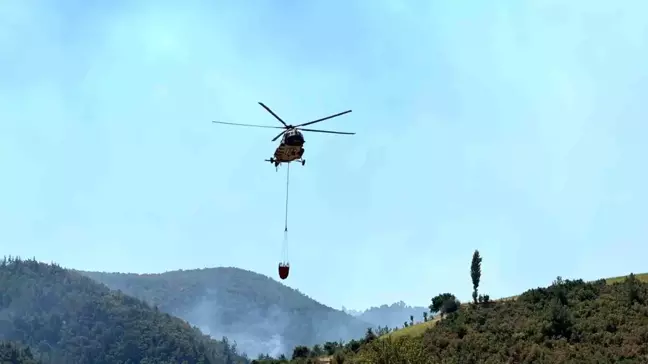 Uşak'ın Eşme ilçesinde çıkan orman yangını kontrol altına alındı