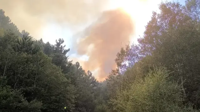 Afyonkarahisar'da Orman Yangını Devam Ediyor