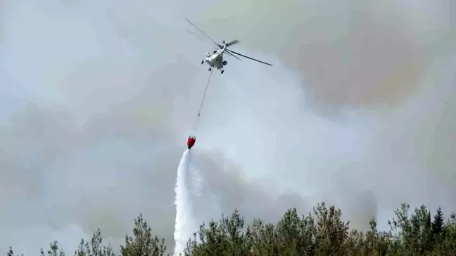 Çanakkale'de Orman Yangını: 700 Hektarlık Alan Etkilendi