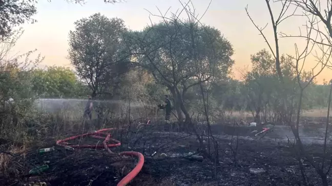 Darıca'da Mangal Yangınında 2 Dönüm Alan Kül Oldu