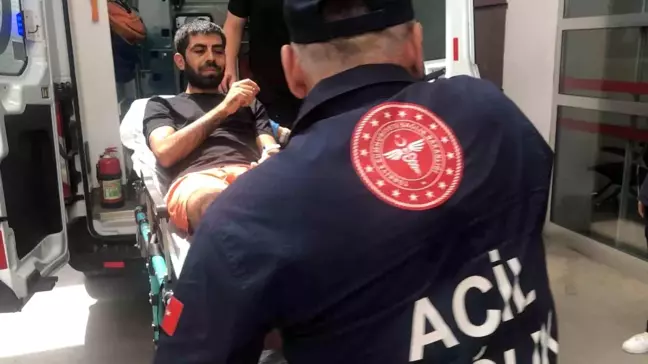 Adıyaman'da Genç Havuzda Akrep Sokması Sonucu Hastanelik Oldu
