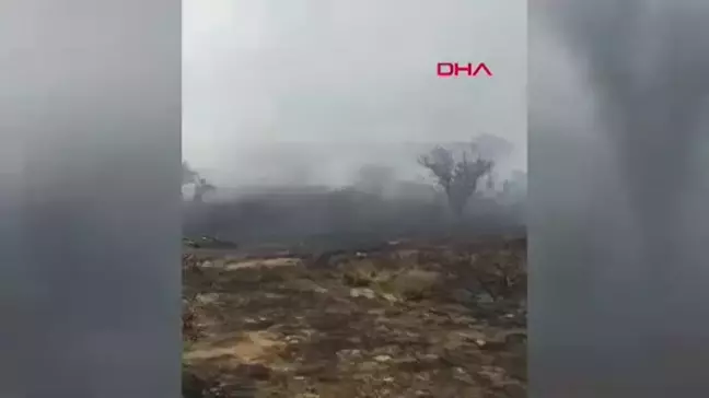 Afyonkarahisar'ın Sandıklı ilçesinde orman yangını çıktı