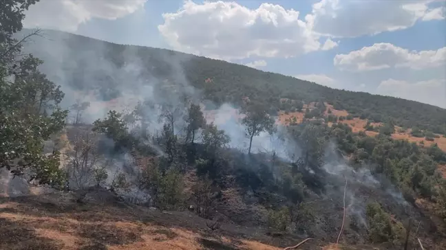 Bingöl'ün Genç ilçesinde çıkan orman yangını söndürüldü