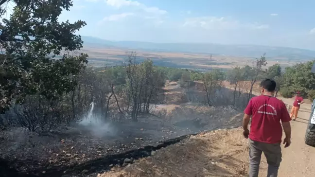 Bingöl Genç'te Orman Yangını Söndürüldü