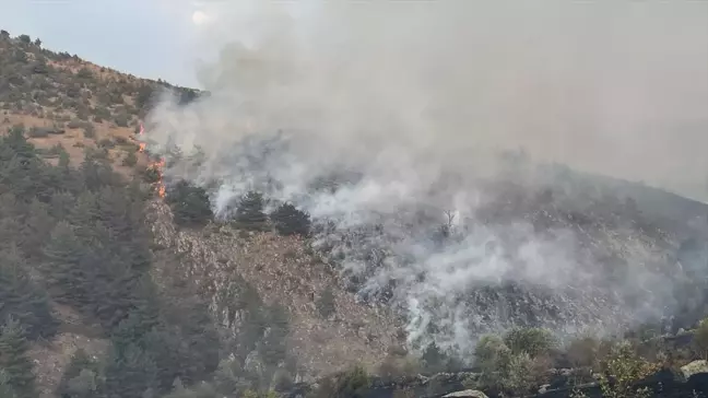 Ankara ve Bolu'da Orman Yangını Kontrol Altına Alındı