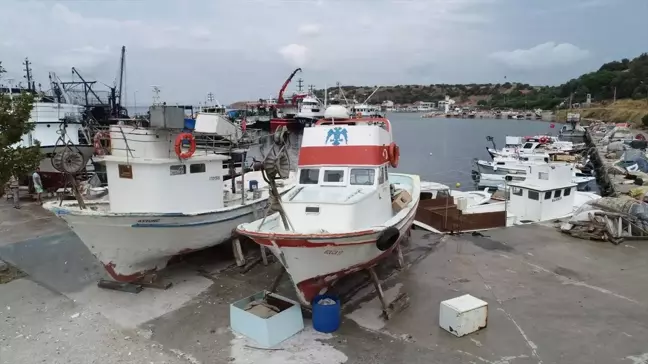 Çanakkale'de Balıkçılar Yeni Sezonda Palamut ve Lüferde Bolluk Bekliyor