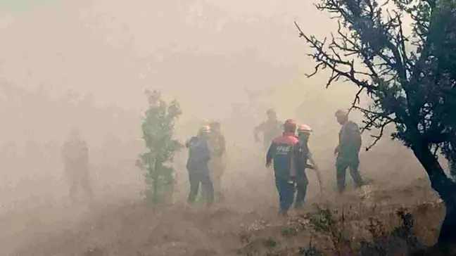 Bolu Gerede'deki yangın kontrol altına alındıktan sonra tekrar alevlendi