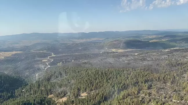 Ankara'da çıkan yangın kontrol altına alındı