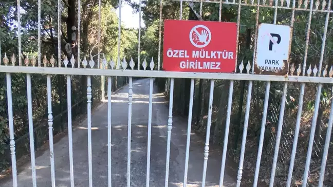 Vaniköy'de Orman Arazisinde İnşaat İncelemesi