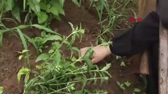 Kilo Verme Ameliyatı Sonrası Hayatını Kaybeden Kadının Ailesi Şikayetçi Oldu