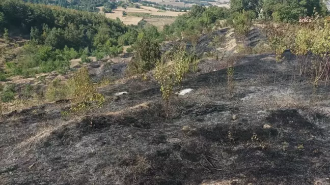 Amasya'nın Taşova ilçesinde meyve bahçeleri yangında zarar gördü