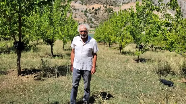 Emekli Öğretmen 20 Binden Fazla Fidanı Toprakla Buluşturdu