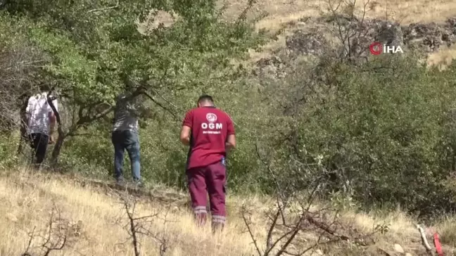 Isparta'da orman yangını havadan ve karadan müdahaleyle söndürüldü