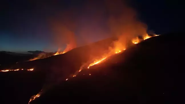 Sivas'ta çıkan örtü yangını ormana sıçradı