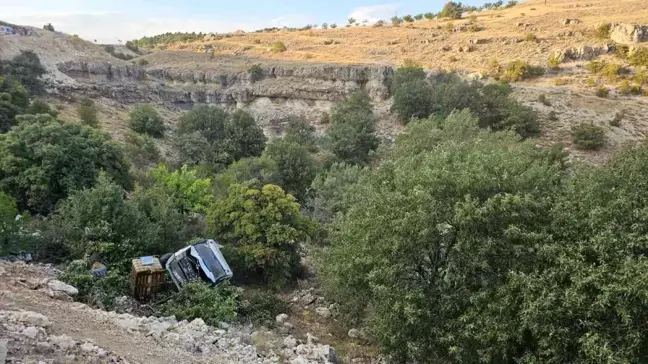 Malatya'da kamyonet şarampole devrildi, sürücü yaralandı