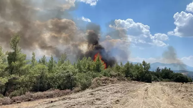 Muğla'da çıkan orman yangını havadan ve karadan müdahaleyle söndürüldü