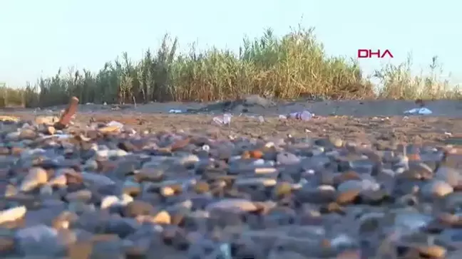 Caretta Carettaları Yumurtadan Çıkan Yavrular, Çöplerle Mücadele Ediyor