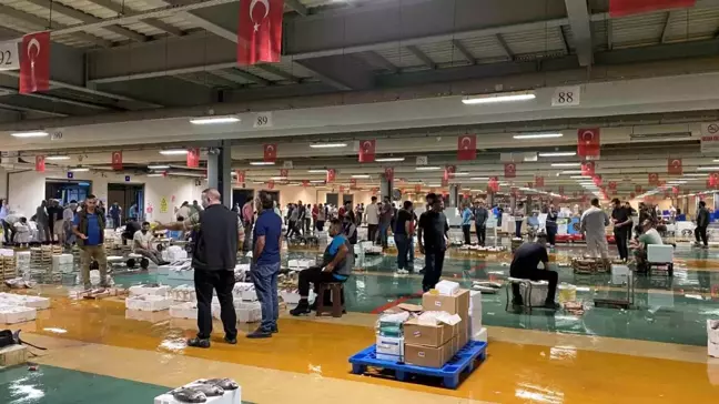 İstanbul'da av yasağı sona erdi, yeni sezonun ilk balıkları avlandı