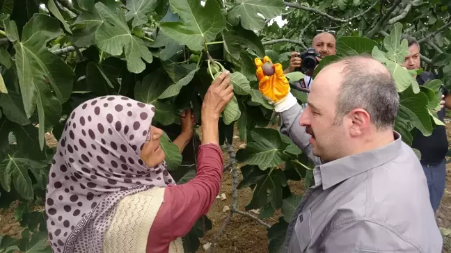 Tarım Bakanlığı, uzun vadeli destek sistemini duyurdu