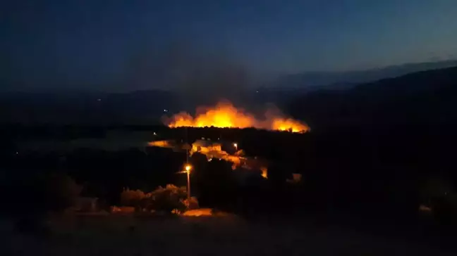 Erzincan'da Altıntaş köyünde çıkan örtü yangını kontrol altına alındı