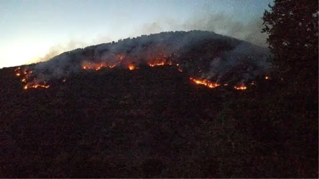 Bitlis ve Mutki'deki Orman Yangınları Kontrol Altına Alındı