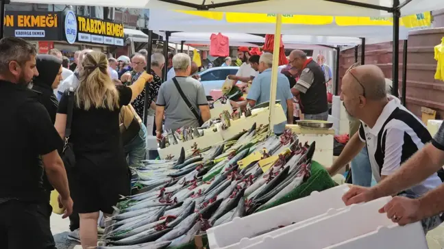 Zonguldak'ta Balıkçılar 4 Günde 100 Ton Palamut Yakaladı