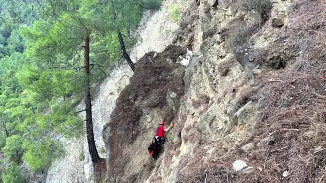 Isparta'da mahsur kalan keçiler kurtarıldı