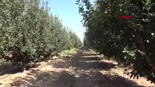 Isparta'da Elma Üreticilerine Zirai İlaç Uyarısı