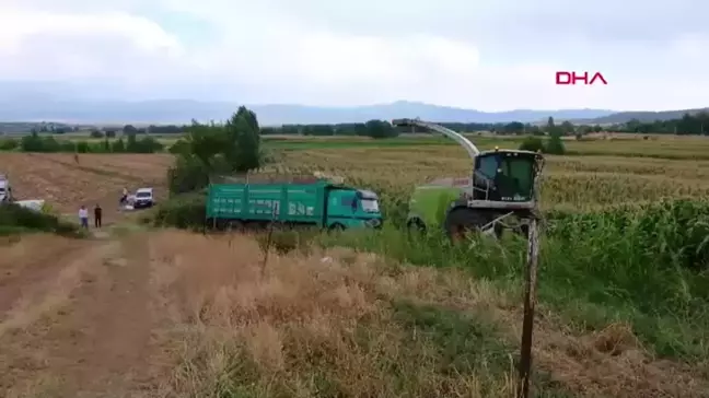 Bingöl'de sözleşmeli çiftçilik modeliyle silajlık mısır hasadı gerçekleştirildi