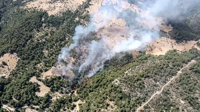 Antalya'nın Kaş ilçesinde orman yangınına müdahale