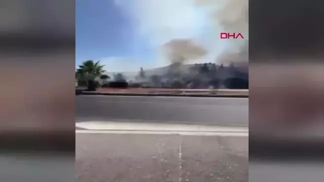 Muğla'da Makilik Yangını Ormana Sıçradı