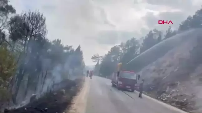 Bolu Göynük'te Orman Yangını Çıktı