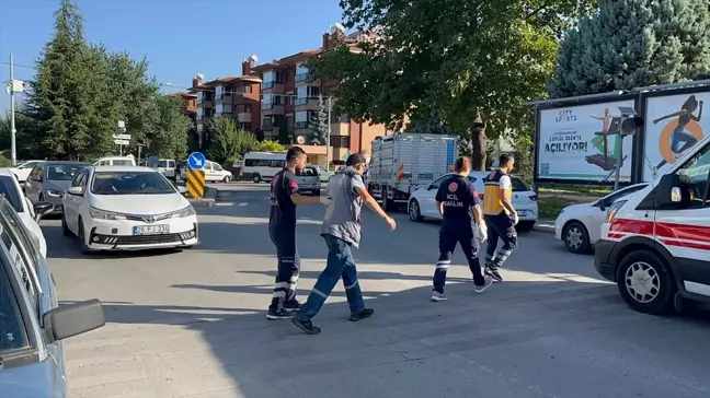 Park görevlisine saldıran köpek yaraladı