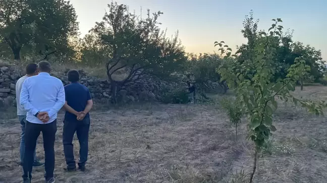 Kayseri'de Budama Yaparken Ağaçtan Düşen Yaşlı Adam Hayatını Kaybetti