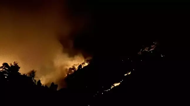 Antakya'da ormanlık alanda çıkan yangına müdahale başlatıldı