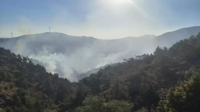 Antakya'da Orman Yangını Kontrol Altına Alınmaya Çalışılıyor