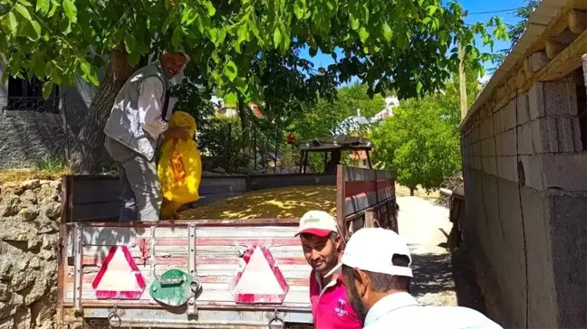 Konya'da Gazze'ye yardım için buğday toplandı