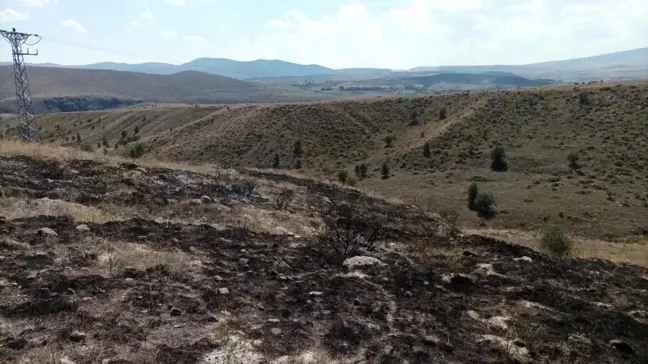 Çankırı'da elektrik trafosunda çıkan yangın araziyi küle çevirdi