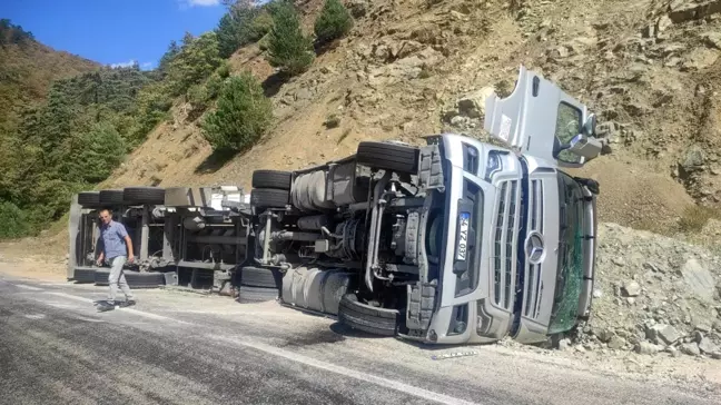 Bolu'da Yem Yüklü Tır Yol Kenarına Devrildi