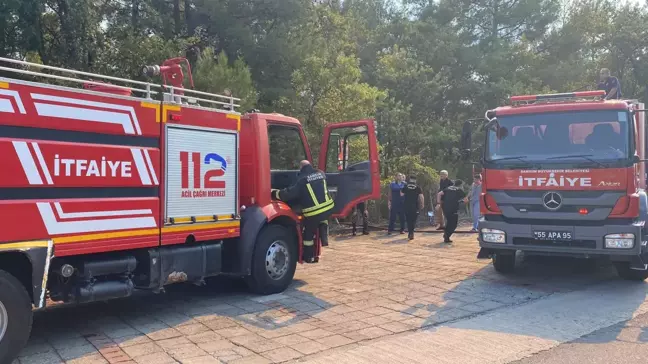 Samsun'da Tıp Fakültesi Hastanesi yakınlarında orman yangını çıktı