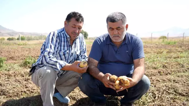 Kırıkkale'de Kuraklık Tarım Verimini Olumsuz Etkiliyor