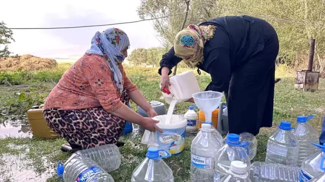 Yüksekova'da Kışlık Süt Hazırlıkları Devam Ediyor