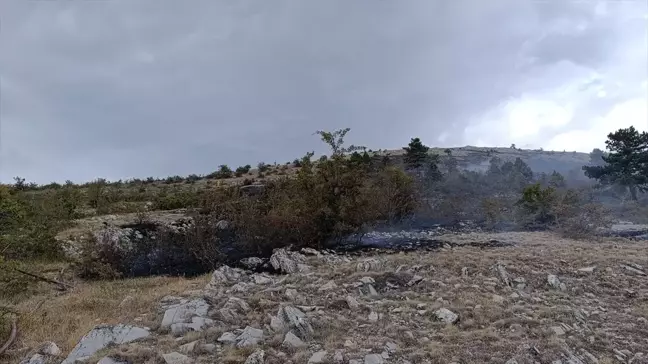 Bolu'daki örtü yangını ormana sıçramadan söndürüldü