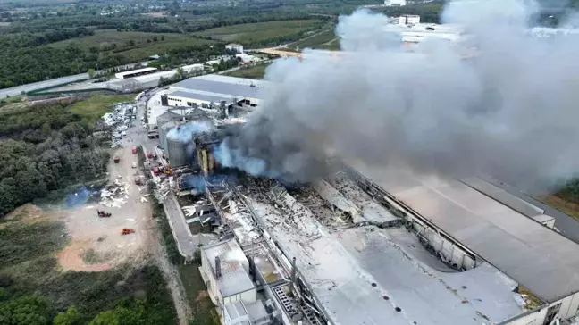 Sakarya'da Oba Makarna Fabrikasında Patlama ve Yangın