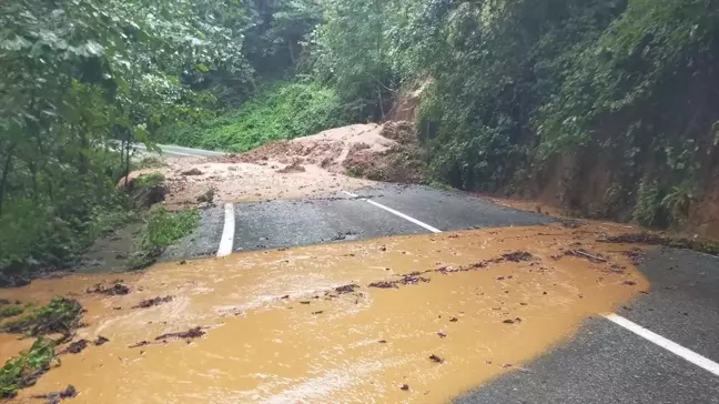 Artvin'in Arhavi İlçesinde Sağanak Nedeniyle Su Baskınları ve Heyelanlar