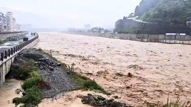 Artvin'de Şiddetli Yağışlar Sel ve Su Taşkınlarına Neden Oldu