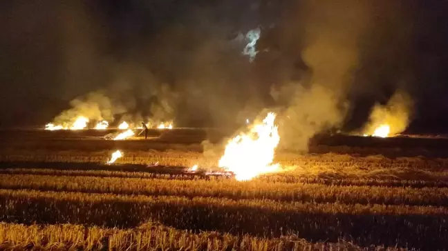 Samsun'da Tarım Arazisinde Anız Yangını Söndürüldü