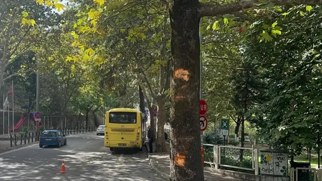 Bursa'da Otobüs Ağaçla Çarpıştı: 5 Yaralı