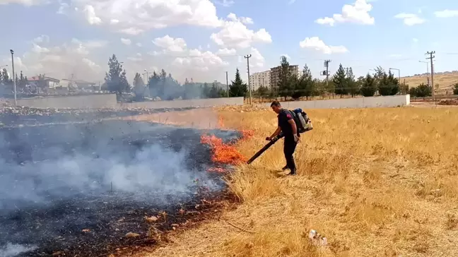 Mardin'de Ot Yangını Kontrol Altına Alındı